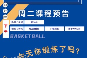 业余爱好者如何找到合适的篮球训练支持渠道?